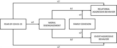 The Relationship Between Fear of COVID-19 and Online Aggressive Behavior: A Moderated Mediation Model